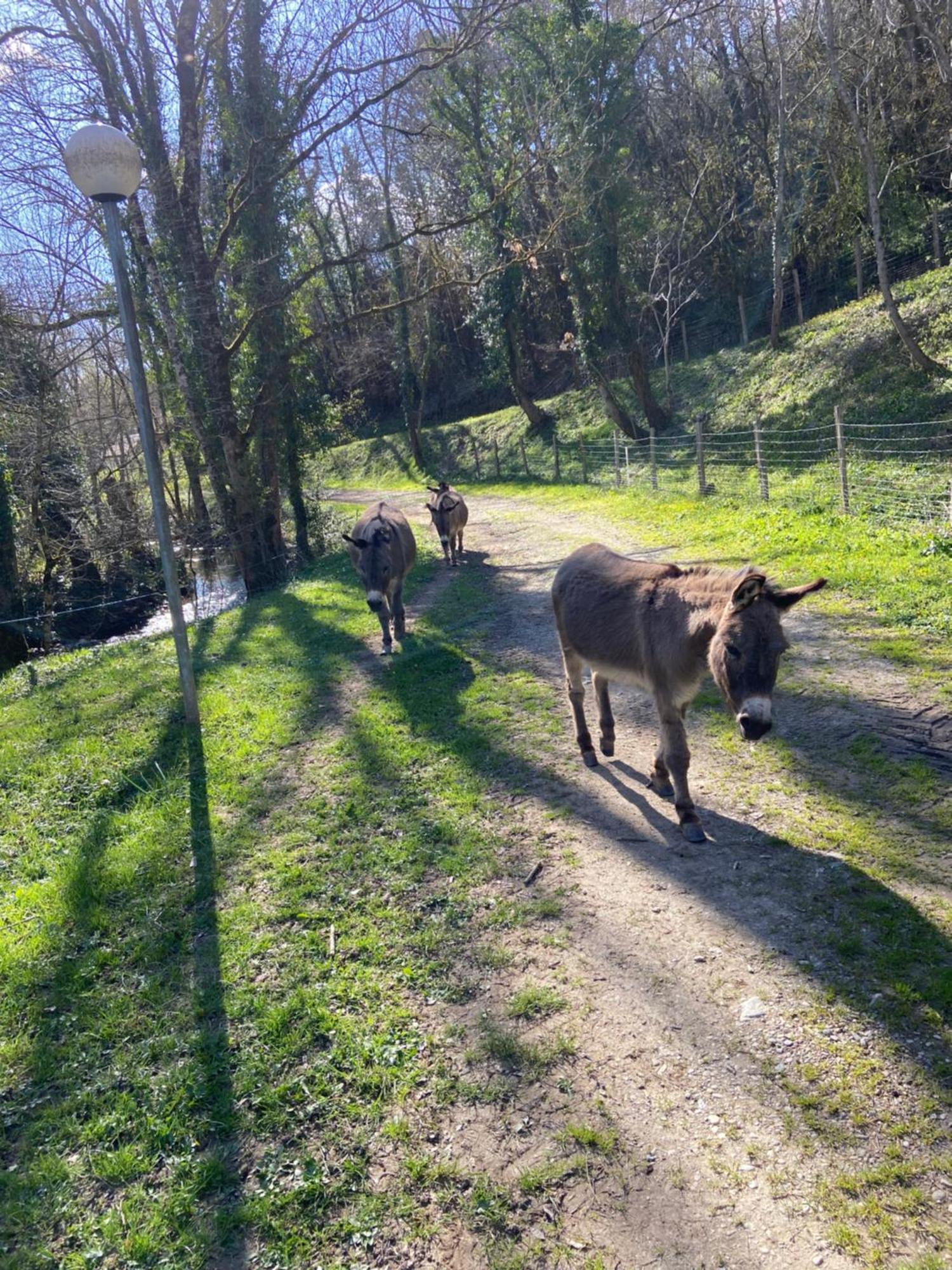 La Bastide D'Albignac Hotel Le Dourn Kültér fotó
