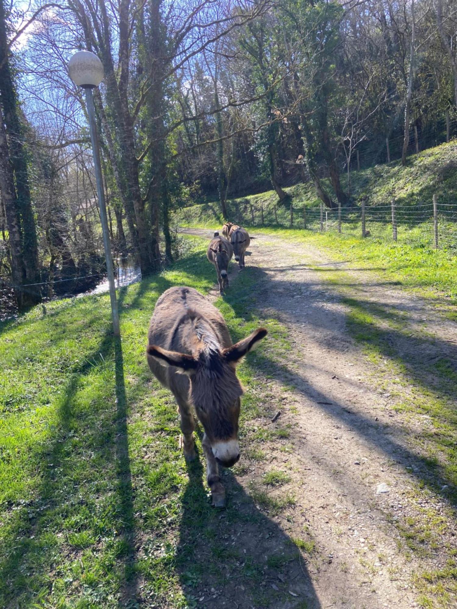 La Bastide D'Albignac Hotel Le Dourn Kültér fotó